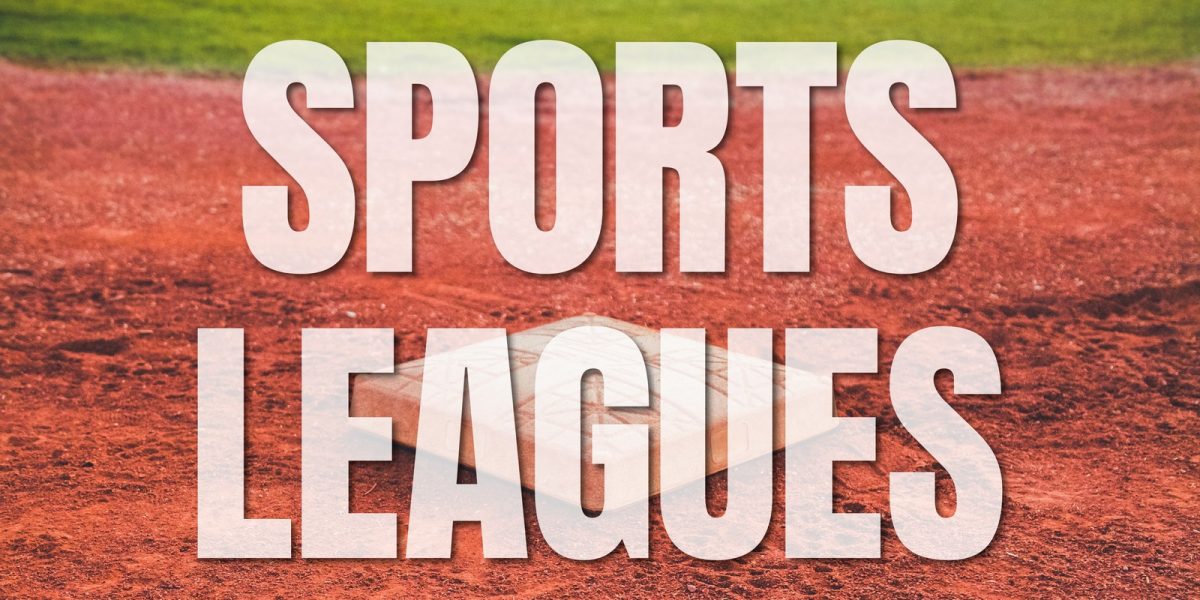 Sports Leagues